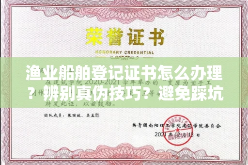中山渔业船舶登记证书怎么办理?辨别真伪技巧?避免踩坑指南